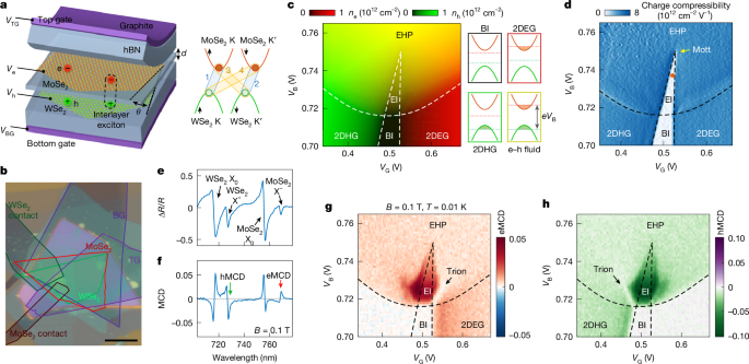 Device structure and measurements of two-component exciton condensates.