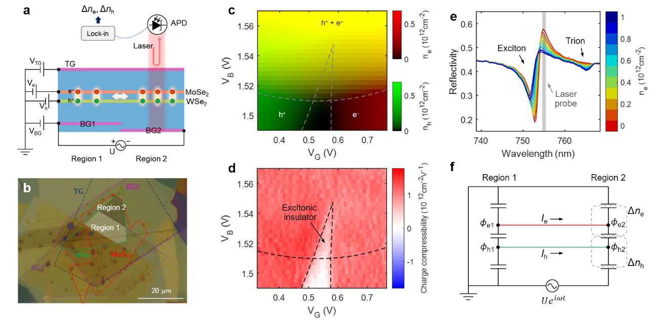 Electron–hole bilayer device, optical measurement setup, carrier-density maps, and equivalent transport circuit.