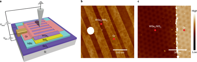 Atomic structure and scanning tunneling microscopy of a reconstructed moiré superlattice.