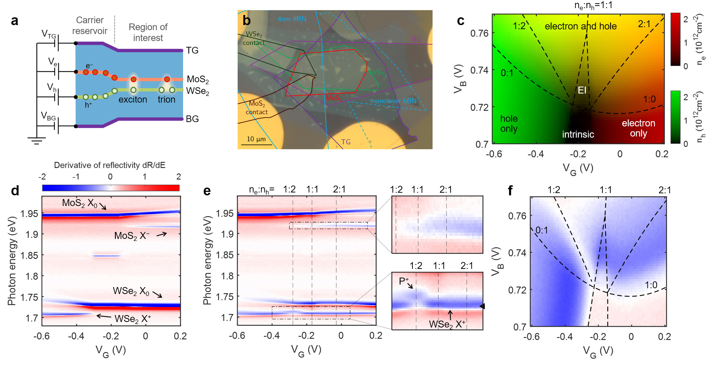 Bilayer device structure and optical maps identifying exciton and trion populations.